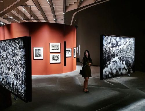 #SebastiaoSalgado per Museo Maxxi